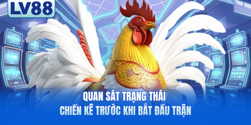 Quản lý vốn tốt giúp trải nghiệm chơi hiệu quả